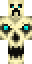 Skull Creeper full Minecraft skin preview