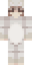 Arctic Fox Onesie full Minecraft skin preview